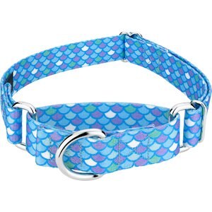 Country Brook Petz Mermaid Scales Polyester Martingale Dog Collar, Blue, Large: 18 to 26-in neck, 1-in wide
