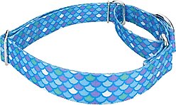 Country Brook Petz Mermaid Scales Polyester Martingale Dog Collar, Blue, Medium: 15 to 21-in neck, 1-in wide slide 2 of 7