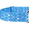 Show in main carousel: Country Brook Petz Mermaid Scales Polyester Martingale Dog Collar, Blue, Small: 11 to 15-in neck, 5/8-in wide slide 7 of 7
