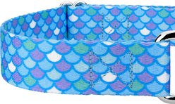 Country Brook Petz Mermaid Scales Polyester Martingale Dog Collar, Blue, X-Large: 23 to 31-in neck, 1-in wide slide 2 of 7
