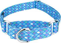 Country Brook Petz Mermaid Scales Polyester Martingale Dog Collar, Blue, X-Small: 9 to 12-in neck, 1/2-in wide
