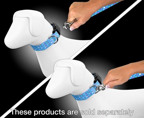 Show full view: Country Brook Petz Mermaid Scales Print Leash, Blue, edium: 4-ft long, 5/8-in wide slide 5 of 7