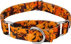 Country Brook Petz Orange Sunset Camo Martingale Dog Collar, Orange, Large