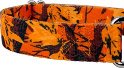 Country Brook Petz Orange Sunset Camo Martingale Dog Collar, Orange, Small slide 2 of 7