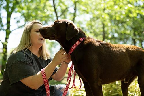 Show full view: Country Brook Petz Pink Bone Camo Deluxe Dog Collar, Pink, Large slide 2 of 8