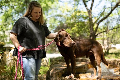 Show full view: Country Brook Petz Pink Bone Camo Deluxe Dog Collar, Pink, Small slide 3 of 8