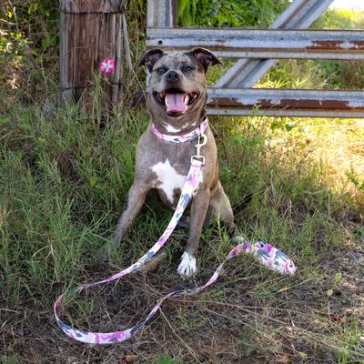 Show full view: Country Brook Petz Pink & Grey Camo Dog Leash, Pink, Medium: 6-ft long, 5/8-in wide slide 2 of 5