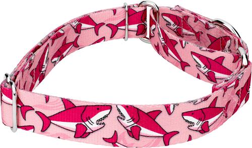 Show full view: Country Brook Petz Pink Sharks Martingale Dog Collar, Pink, Small: 11 to 15-in neck, 5/8-in wide slide 5 of 7