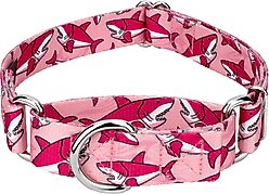 Country Brook Petz Pink Sharks Martingale Dog Collar, Pink, X-Large: 23 to 31-in neck, 1-in wide