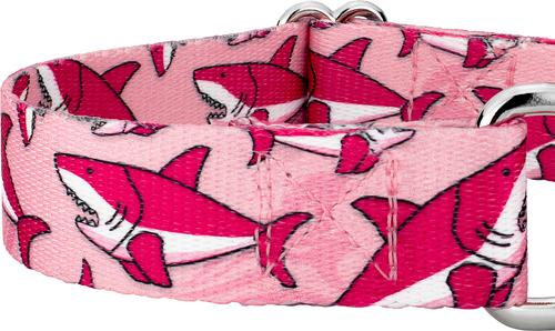Show full view: Country Brook Petz Pink Sharks Martingale Dog Collar, Pink, X-Large: 23 to 31-in neck, 1-in wide slide 5 of 6