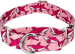 Country Brook Petz Pink Sharks Martingale Dog Collar, Pink, XX-Small: 7 to 10-in, 1/2-in wide