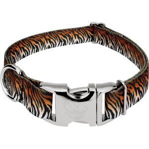 Country Brook Petz Premium Bengal Tiger Stripes Dog Collar, Orange, 13 to 16-in neck, 1-in wide