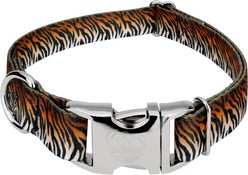 Country Brook Petz Premium Bengal Tiger Stripes Dog Collar, Orange, 18 to 26-in neck, 1-in wide
