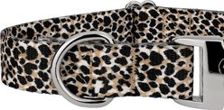 Country Brook Petz Premium Cheetah Dog Collar, Black, 11 to 13-in neck, 5/8-in wide slide 2 of 5