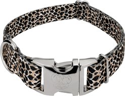 Country Brook Petz Premium Cheetah Dog Collar, Black, 13 to 16-in neck, 1-in wide