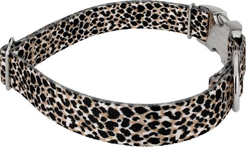 Show full view: Country Brook Petz Premium Cheetah Dog Collar, Black, 16 to 22-in neck, 1-in wide slide 5 of 6