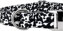 Country Brook Petz Premium Dairy Cow Dog Collar, Black, 13 to 16-in neck, 1-in wide slide 2 of 7