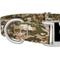 Show in main carousel: Country Brook Petz Premium Desert Viper Camo Dog Collar, Green, Small: 11 to 13-in neck, 5/8-in wide slide 6 of 6