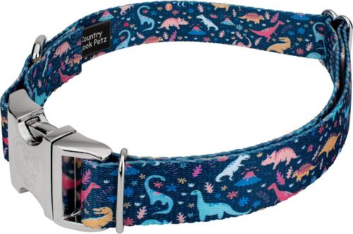 Show full view: Country Brook Petz Premium Dinosaurs Dog Collar, Blue, Large: 16 to 22-in neck, 1-in wide slide 6 of 8