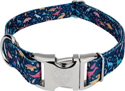 Country Brook Petz Premium Dinosaurs Dog Collar, Blue, Medium: 13 to 16-in neck, 1-in wide