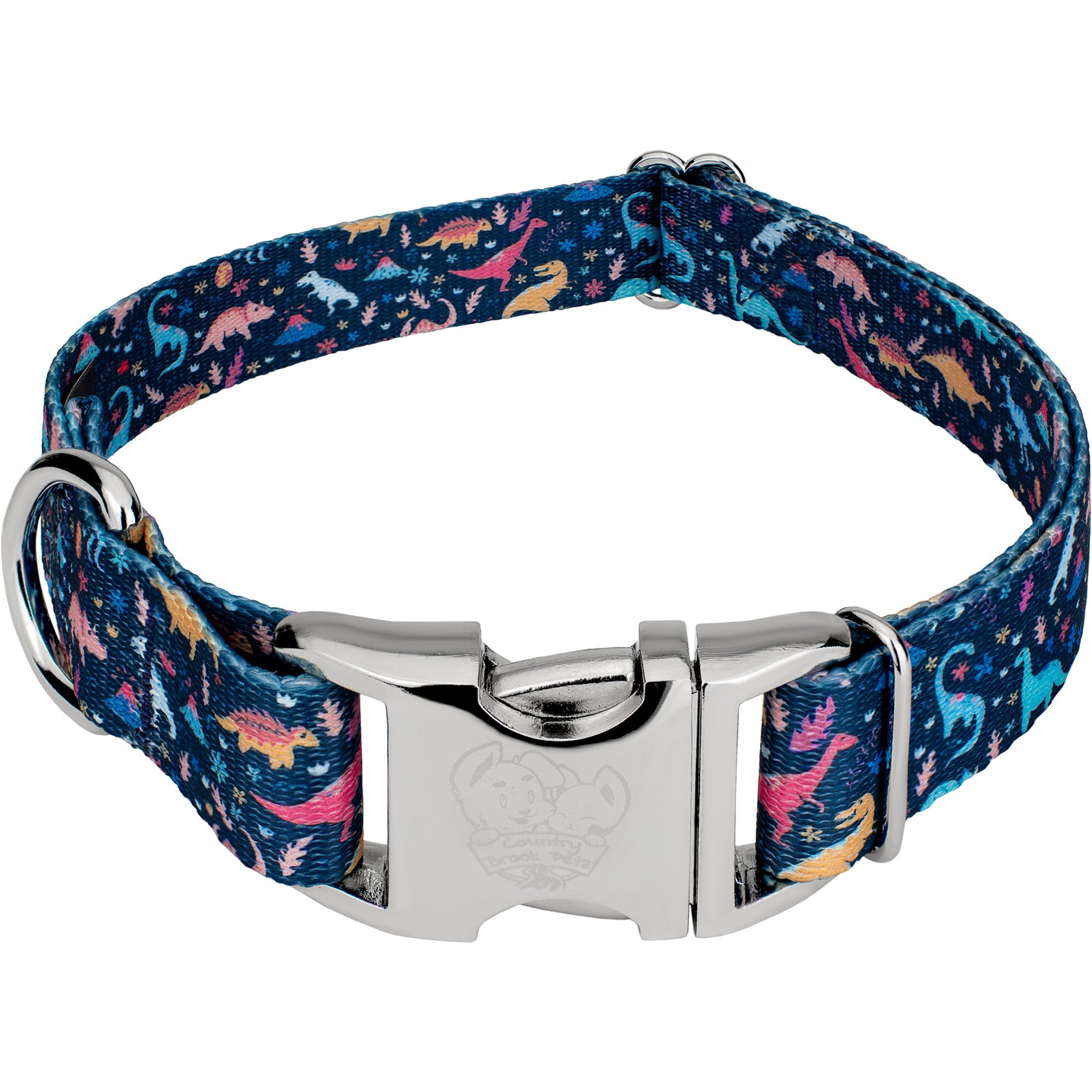 Country Brook Petz Premium Dinosaurs Dog Collar, Blue, Small: 11 to 13-in neck, 5/8-in wide