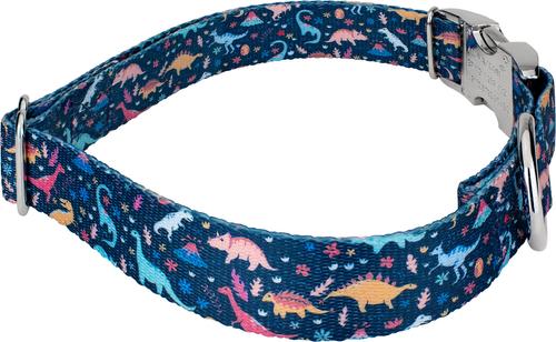 Show full view: Country Brook Petz Premium Dinosaurs Dog Collar, Blue, Small: 11 to 13-in neck, 5/8-in wide slide 6 of 7