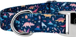 Country Brook Petz Premium Dinosaurs Dog Collar, Blue, X-Large: 18 to 26-in neck, 1-in wide slide 2 of 7
