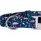 Show in main carousel: Country Brook Petz Premium Dinosaurs Dog Collar, Blue, X-Large: 18 to 26-in neck, 1-in wide slide 7 of 7