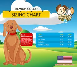 Country Brook Petz Premium Farm Life Y'all Dog Collar, Green, Medium: 13 to 16-in neck, 1-in wide slide 2 of 5