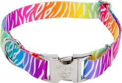 Country Brook Petz Premium Fashion Zebra Dog Collar, Multicolor, 13 to 16-in neck, 1-in wide