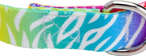 Show full view: Country Brook Petz Premium Fashion Zebra Dog Collar, Multicolor, 13 to 16-in neck, 1-in wide slide 7 of 7