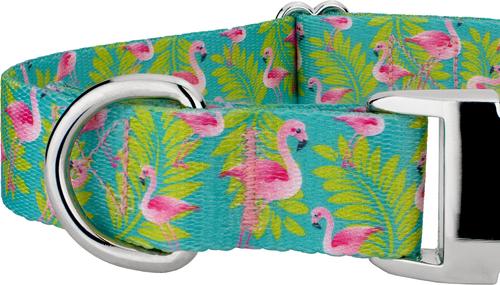 Show full view: Country Brook Petz Premium Flamingos Dog Collar, Teal, Large: 16 to 22-in neck, 1-in wide slide 8 of 8