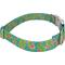Show in main carousel: Country Brook Petz Premium Flamingos Dog Collar, Teal, Large: 16 to 22-in neck, 1-in wide slide 7 of 8