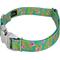 Show in main carousel: Country Brook Petz Premium Flamingos Dog Collar, Teal, Large: 16 to 22-in neck, 1-in wide slide 6 of 8