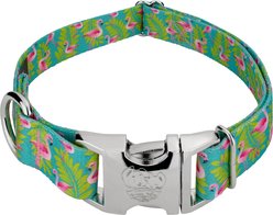 Country Brook Petz Premium Flamingos Dog Collar, Teal, Medium: 13 to 16-in neck, 1-in wide