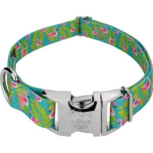Country Brook Petz Premium Flamingos Dog Collar, Teal, Medium: 13 to 16-in neck, 1-in wide