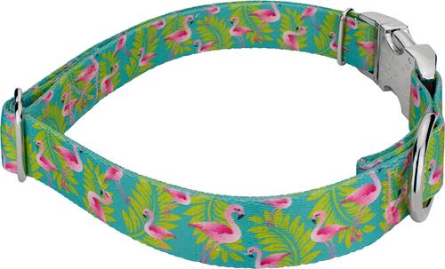 Show full view: Country Brook Petz Premium Flamingos Dog Collar, Teal, X-Large: 18 to 26-in neck, 1-in wide slide 6 of 7
