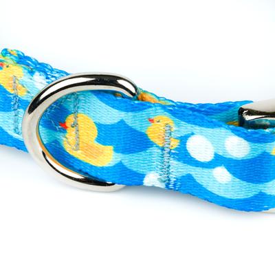 Show full view: Country Brook Petz Premium Just Ducky Dog Collar, Blue, Medium: 13 to 16-in neck, 1-in wide slide 6 of 6