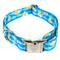 Show in main carousel: Country Brook Petz Premium Just Ducky Dog Collar, Blue, Small: 11 to 13-in neck, 5/8-in wide slide 1 of 6