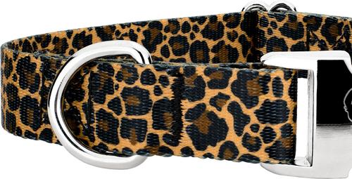 Show full view: Country Brook Petz Premium Leopard Print Dog Collar, Brown, 11 to 13-in neck, 5/8-in wide slide 5 of 5