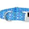 Show in main carousel: Country Brook Petz Premium Mermaid Scales Dog Collar, Blue, 11 to 13-in neck, 5/8-in wide slide 7 of 7