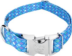 Country Brook Petz Premium Mermaid Scales Dog Collar, Blue, 18 to 26-in neck, 1-in wide