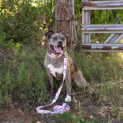 Show full view: Country Brook Petz Premium Pink & Grey Camo Dog Collar, Pink, Large: 16 to 22-in neck, 1-in wide slide 3 of 8