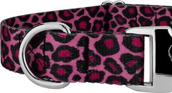 Country Brook Petz Premium Pink Leopard Dog Collar, Pink, 16 to 22-in neck, 1-in wide slide 2 of 5