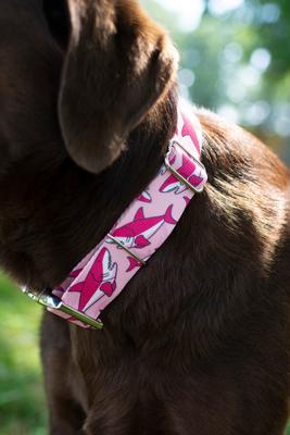 Show full view: Country Brook Petz Premium Pink Sharks Dog Collar, Pink, Medium: 13 to 16-in neck, 1-in wide slide 2 of 6