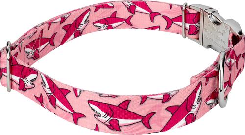 Show full view: Country Brook Petz Premium Pink Sharks Dog Collar, Pink, X-Large: 18 to 26-in neck, 1-in wide slide 5 of 6