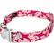 Show in main carousel: Country Brook Petz Premium Pink Sharks Dog Collar, Pink, X-Large: 18 to 26-in neck, 1-in wide slide 4 of 6