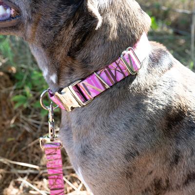Show full view: Country Brook Petz Premium Pink Waterfowl Camo Dog Collar, Pink, Small: 11 to 13-in neck, 5/8-in wide slide 3 of 7