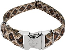 Country Brook Petz Premium Rattlesnake Dog Collar, Brown, 16 to 22-in neck, 1-in wide