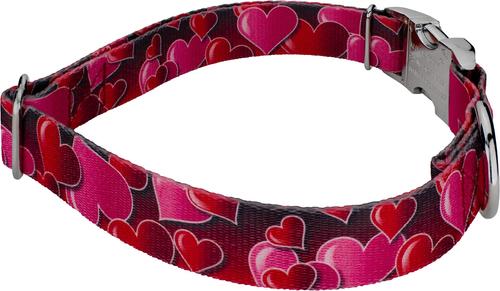 Show full view: Country Brook Petz Premium Romantic Hearts Polyester Standard Dog Collar, Red, Large: 16 to 22-in neck, 1-in wide slide 5 of 6
